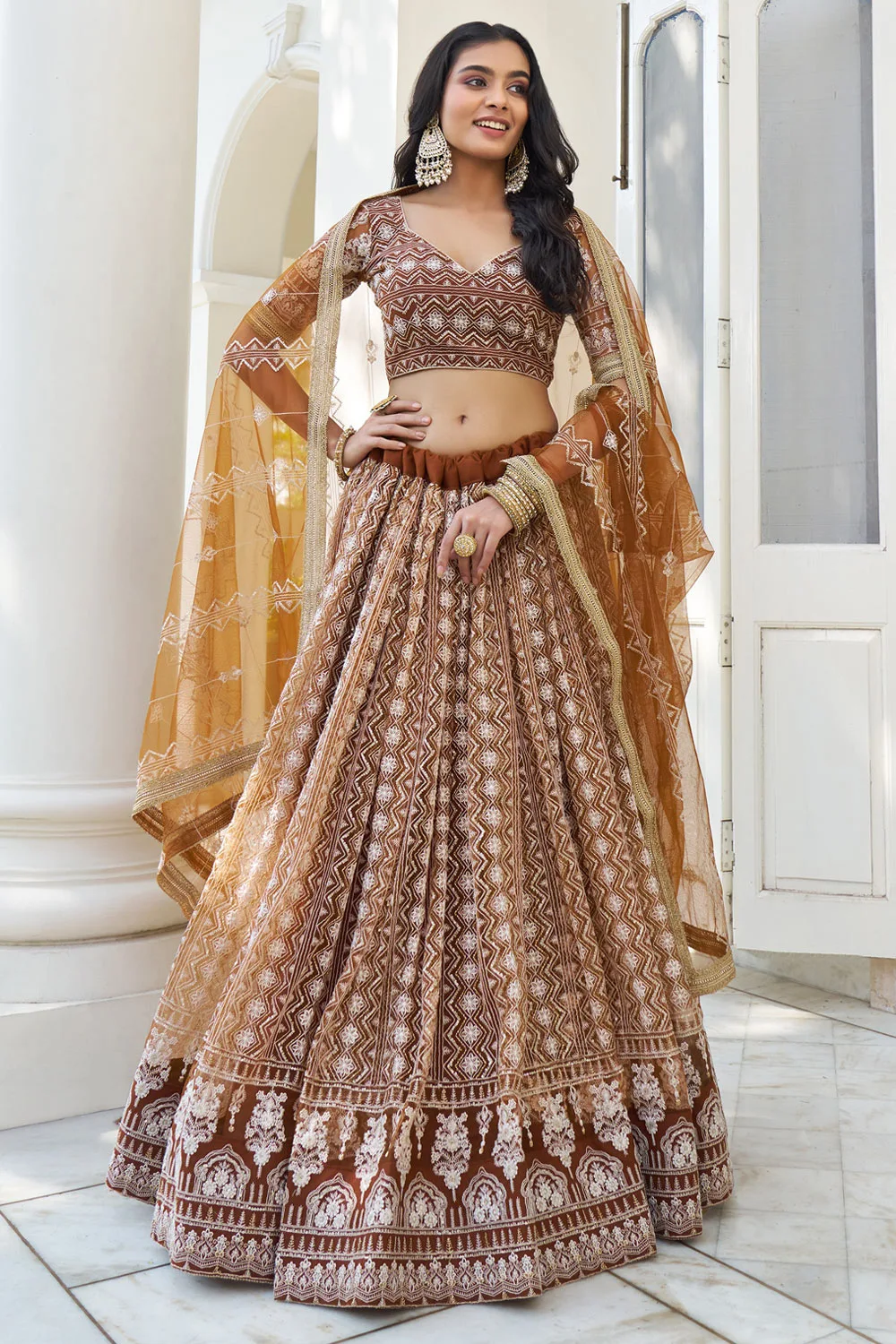 Brown Butterfly Net Lehenga with Embroidered Lace Dupatta & Cancan